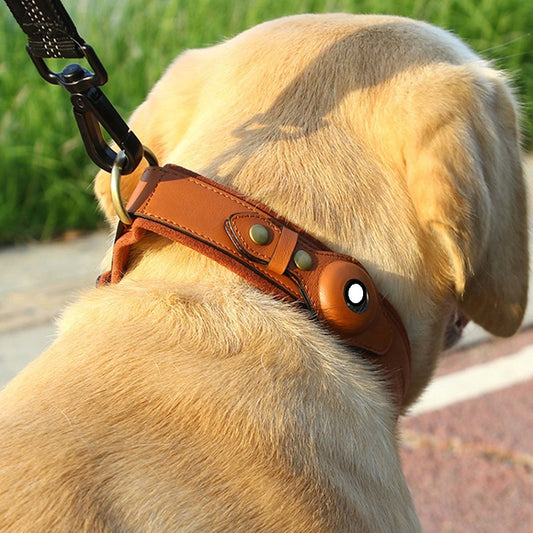 CozyPaws Leather GPS Dog Collar with Tracker – Apple Compatible, 3 Sizes